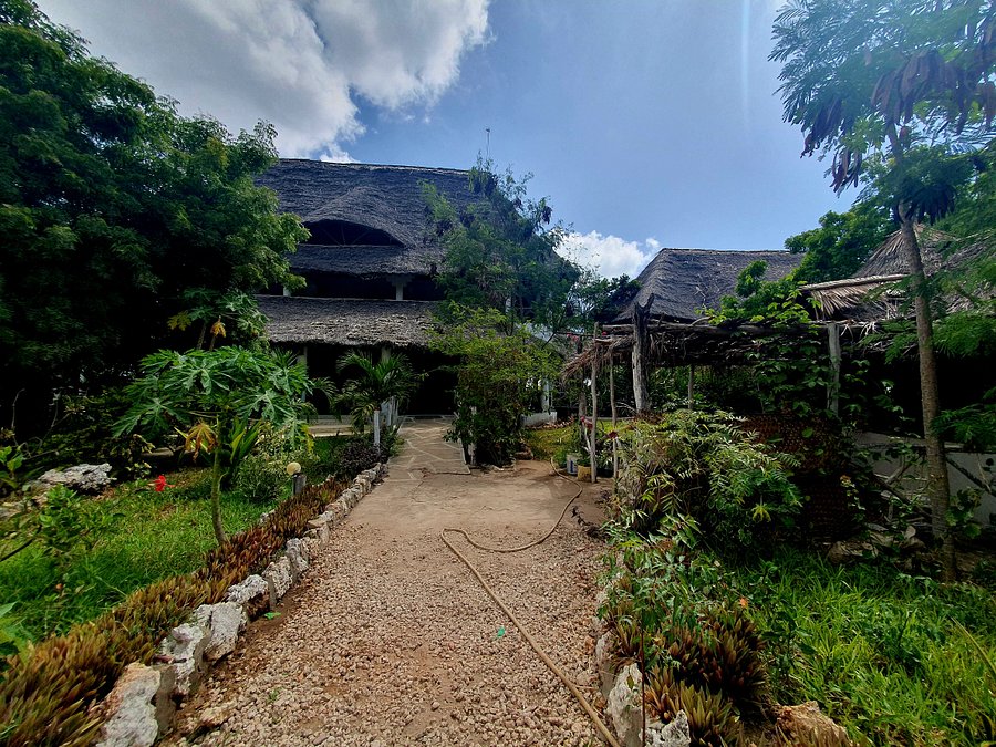 Safina House tropical garden